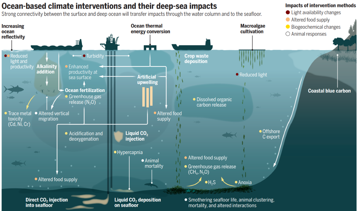 What is blue carbon? A look at how underwater carbon storage helps fight  climate change 